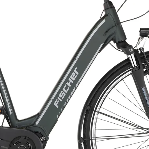 "Unisex E-Bike City, 28 Zoll, Rahmengröße 41cm, 7-Gang Nabenschaltung, grün matt, CITA 3.2i image"