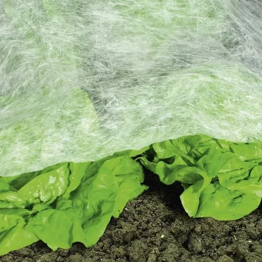 "Frühbeetvlies, weiß 1,5 x 10 m image"