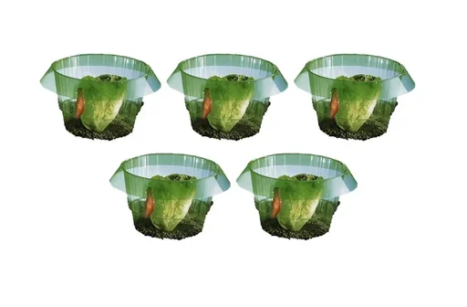 "Salatringe 5 Stück SEt image"