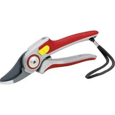 "Professionelle Astschere RR 5000 image"