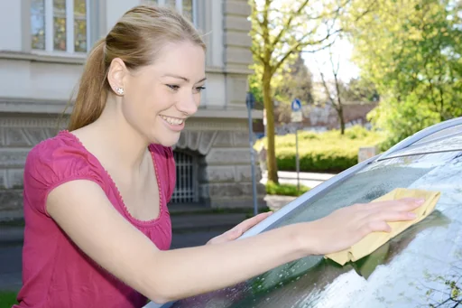 "Saugtuch, PVA, mit Box image"