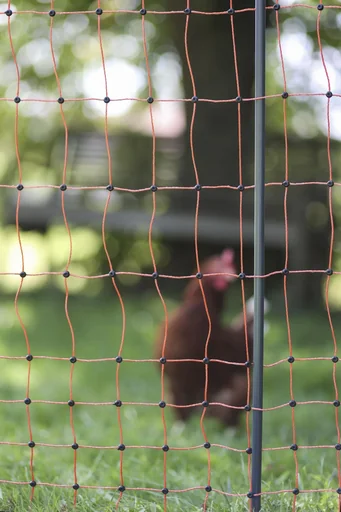 "Ersatzpfahl für Geflügelnetze, 2 Spitzen, Schwarz, 106 cm image"