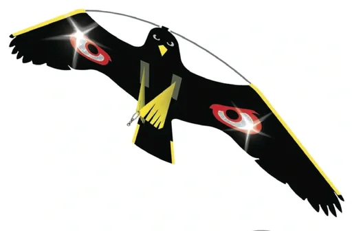 "Vogel Abwehr - Drache mit 9 m Stab image"