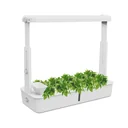 Pflanzenaufzuchtstation Zimmergewächshaus LED