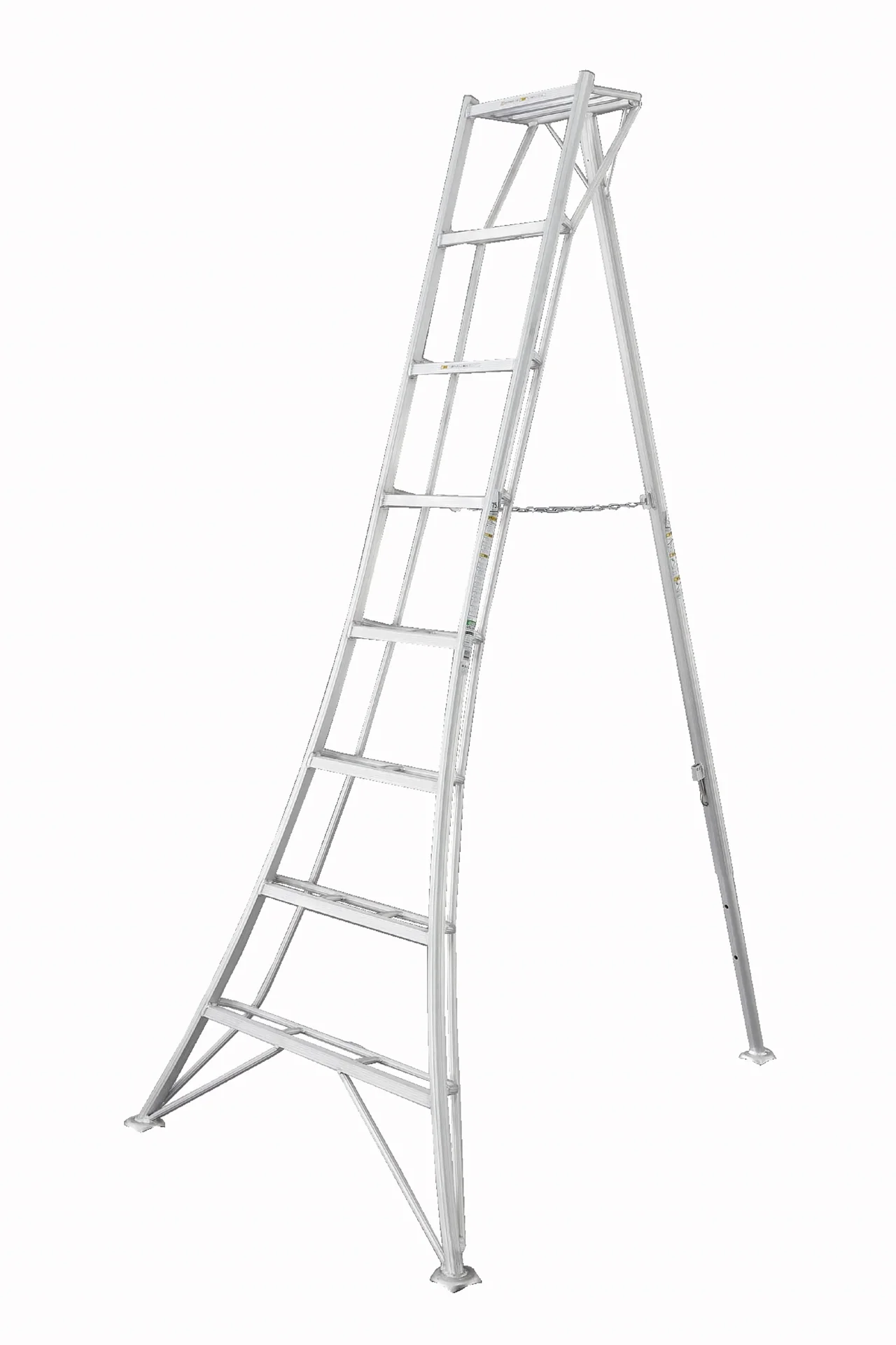 3-Holm-Gartenleiter, 240 cm