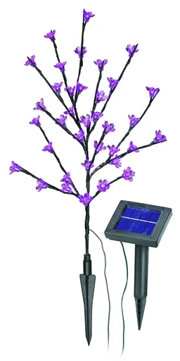 "Solar Blütenstrauch image"