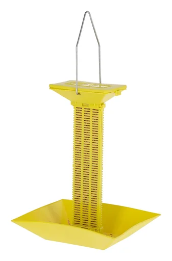 "Fliegenköder-Station image"