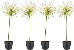 Flower-up 4er-Set XXL Rattenweiden 120 - 140 cm