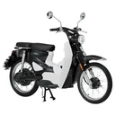 E-Roller "Turin" 45 km/h inklusive 32 Ah Lithium-Akku schwarz/weiß