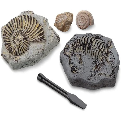 "Discovery Mindblow - Fossilienausgrabung - Grabungsset - 2 Stück Archäologie image"