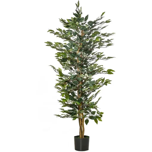 "Kirschlorbeer 'Caucasica' 10er-Set (Prunus laurocerasus) – winterharter immergrüner Strauch, für 5 m Hecke, im 7-L-Container, Höhe ca. 60–80 cm image"
