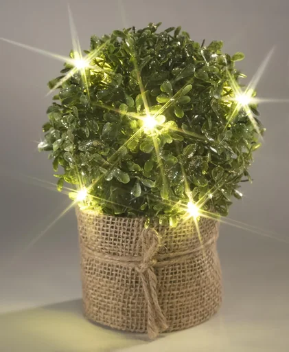 "Buchsbaum rund mit goldenem Glitzer und LED Beleuchtung image"
