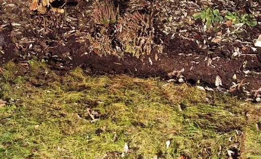 "Rasenkantenstecher 20 cm, T-Stiel image"