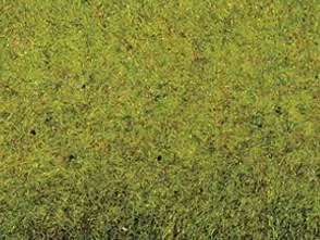 "Grasmatte Sommerwiese 200 x 100 cm image"