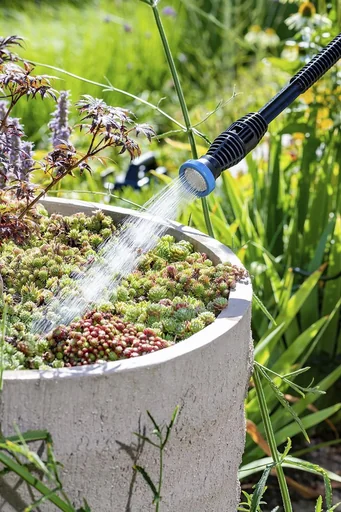 "MultiJet 230V inklusive 6m Druckschlauch und 5m Ansaugschlauch image"