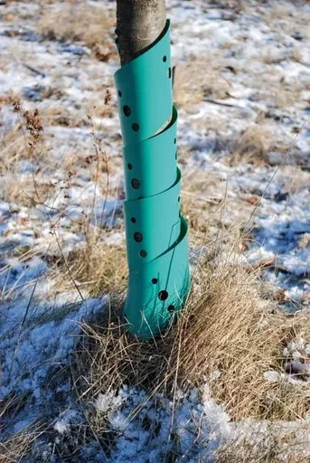 "Baumspirale, 60 cm, 2 Stück - gegen Wildfraß an jungen Bäumen image"