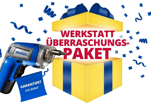 "Überraschungspaket image"