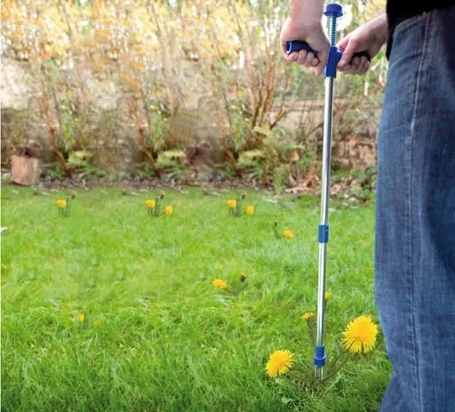 "Unkrautstecher image"