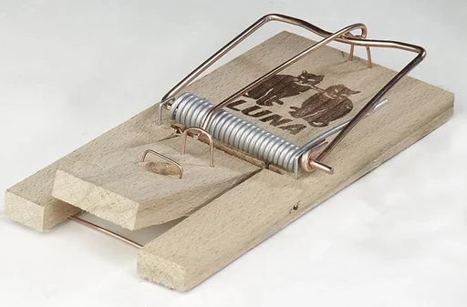 "Holz Rattenfallen - 10 Stück image"