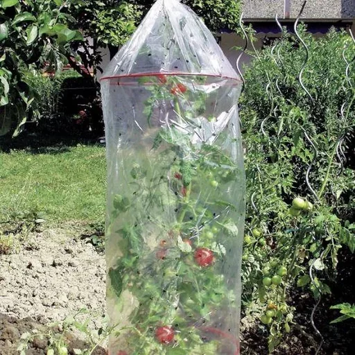 "Tomatenhauben im 3er Set image"