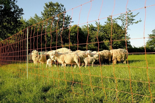 "Euro-Netz 90/1, 25 m lang image"