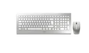 Kabelloses Tastatur-Maus-Set DW 8000 silber/weiß