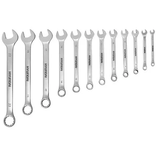 "12dlg Ringschlüsselsatz 6-22mm image"