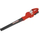 Lion Accu Bladblazer ALB 2420 - Inkl. 2.0Ah Akku und Ladegerät - 208 km/h