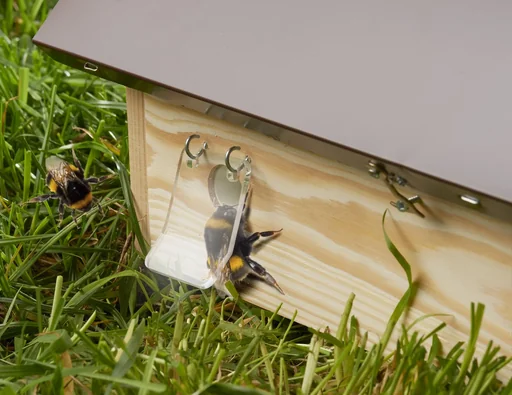 "Wachsmottensperre für Hummelhäuser image"