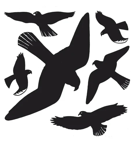 "Warnvögel-Aufkleber für Fenster, schwarz, 30 x 30 cm image"