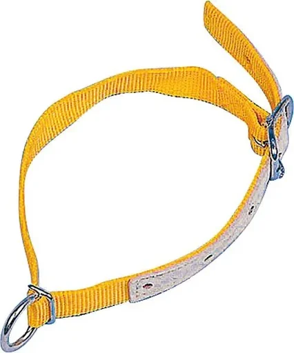 "Halsriemen für Schafe, 60 cm image"