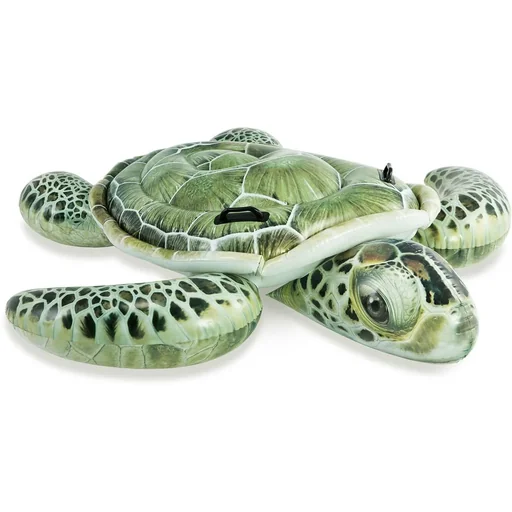 "aufblasbarer Schildkröte image"