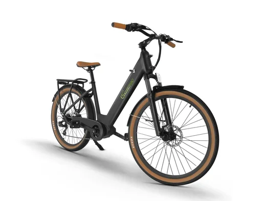"E-Citybike C5 Centro image"