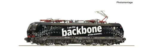 "Elektrolokomotive 193 318 der Deutschen Bahn " Backbone" image"
