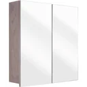 Concept Spiegelschrank 60cm gris fsc