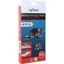 Mausefalle - mit Klebstoff