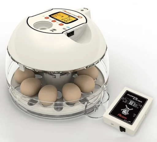 "Inkubator R-COM10 PRO PLUS für 10 Eier image"