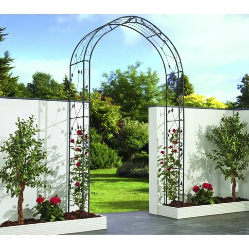 "Rosenbogen "Mira" image"