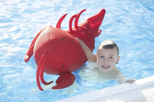 "Pool Buddy Lobster rot image"