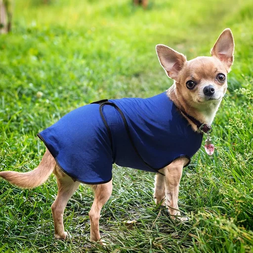 "Hunde Kühlweste Kühljacke Cooling Vest schnelle Abkühlung Polyester Blau Ø40 x 46 cm image"