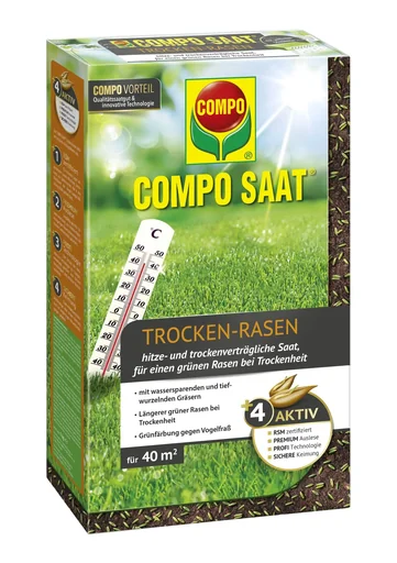 "Trocken-Rasen "SAAT"- 1 kg image"